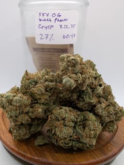 Review Image 3