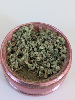 Review Image 3