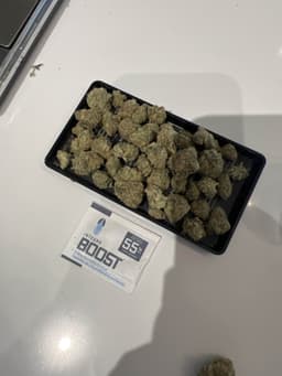 Review Image 2